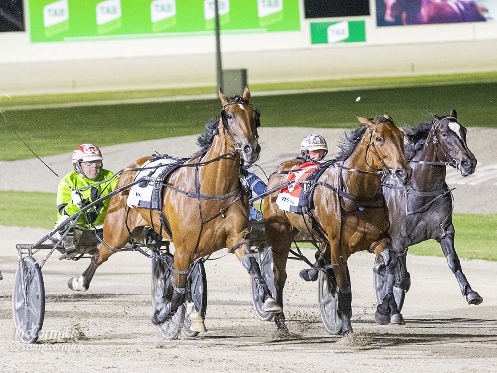 Can a twotime champion a Vicbred legend? Harness Racing Victoria
